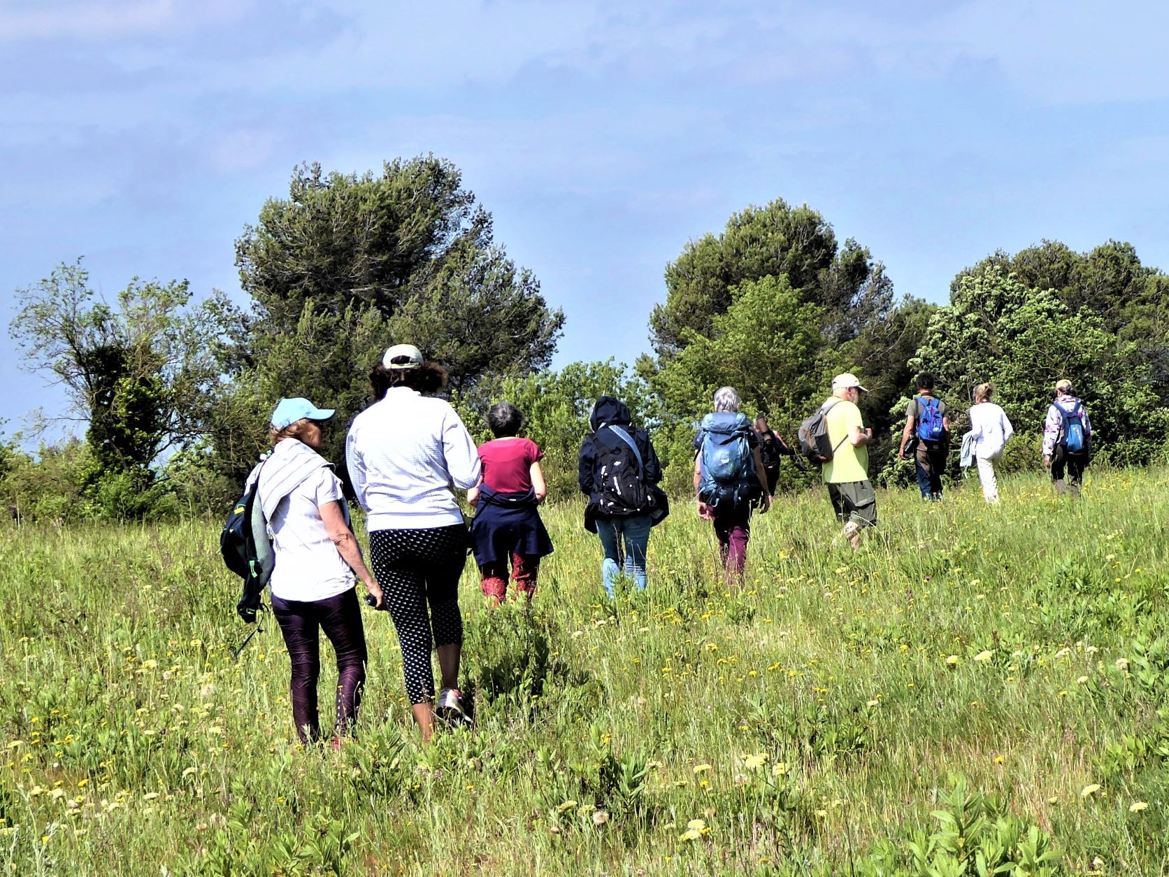 groupe de personnes marchant en file indienne dans la nature